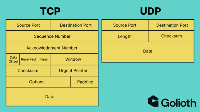 TCP and UDP packet structures.