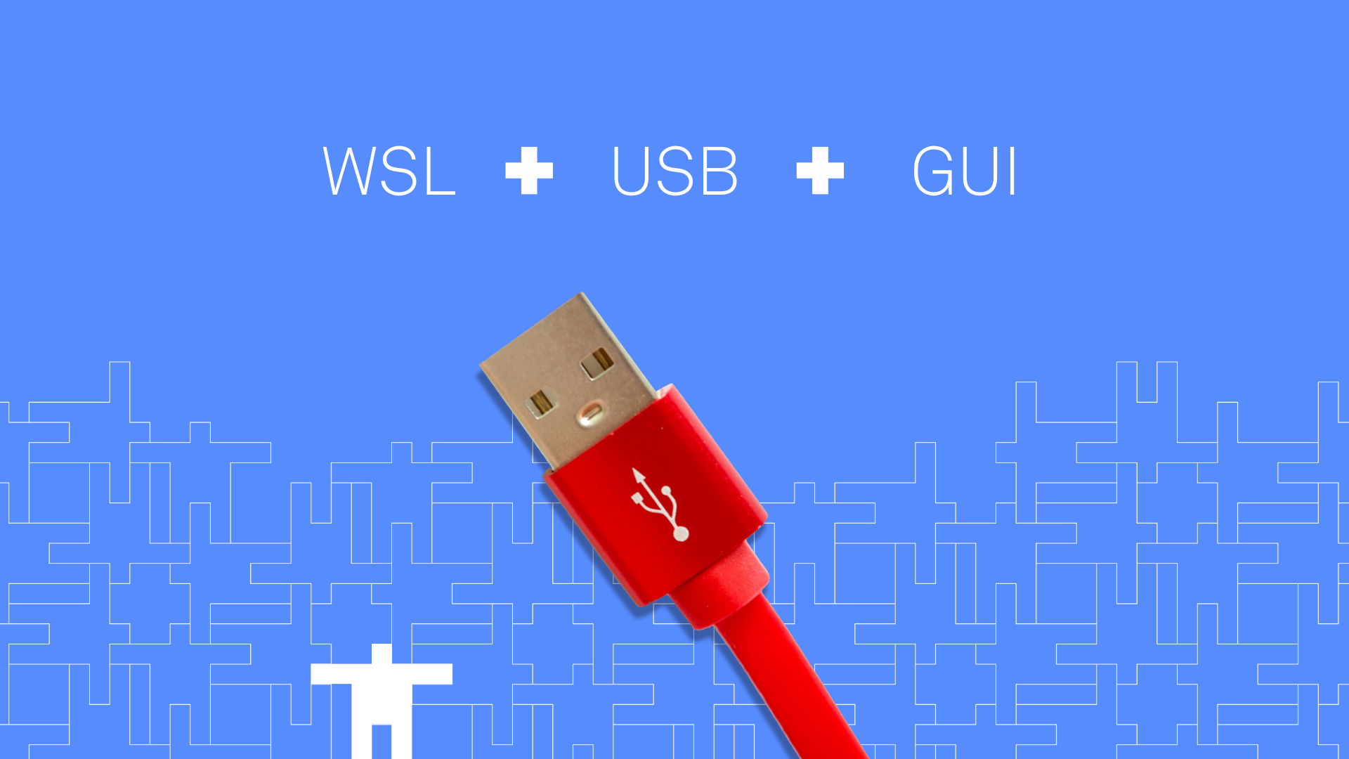 USB support in WSL2 now with a GUI! Golioth