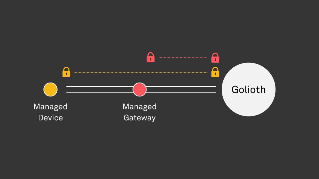 NT Managed Gateway Managed Device